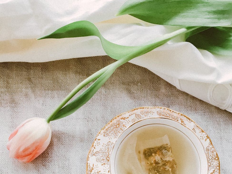 pink petaled flowers near teacup and saucer